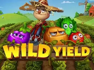 Playground Casino Montreal screenshot